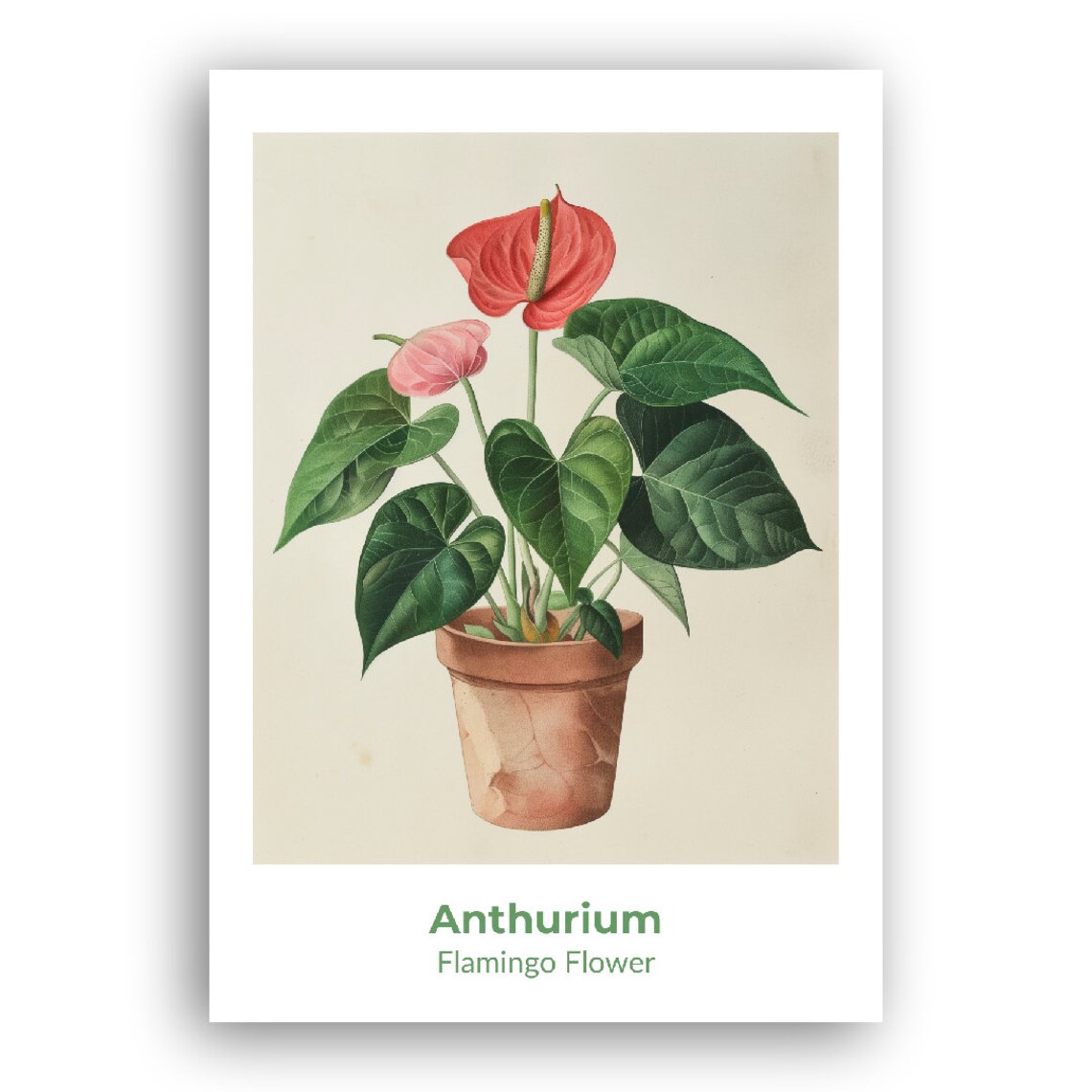 Anthurium Flamingo Flower Red Blooms Watercolor Botanical Poster - Image 2