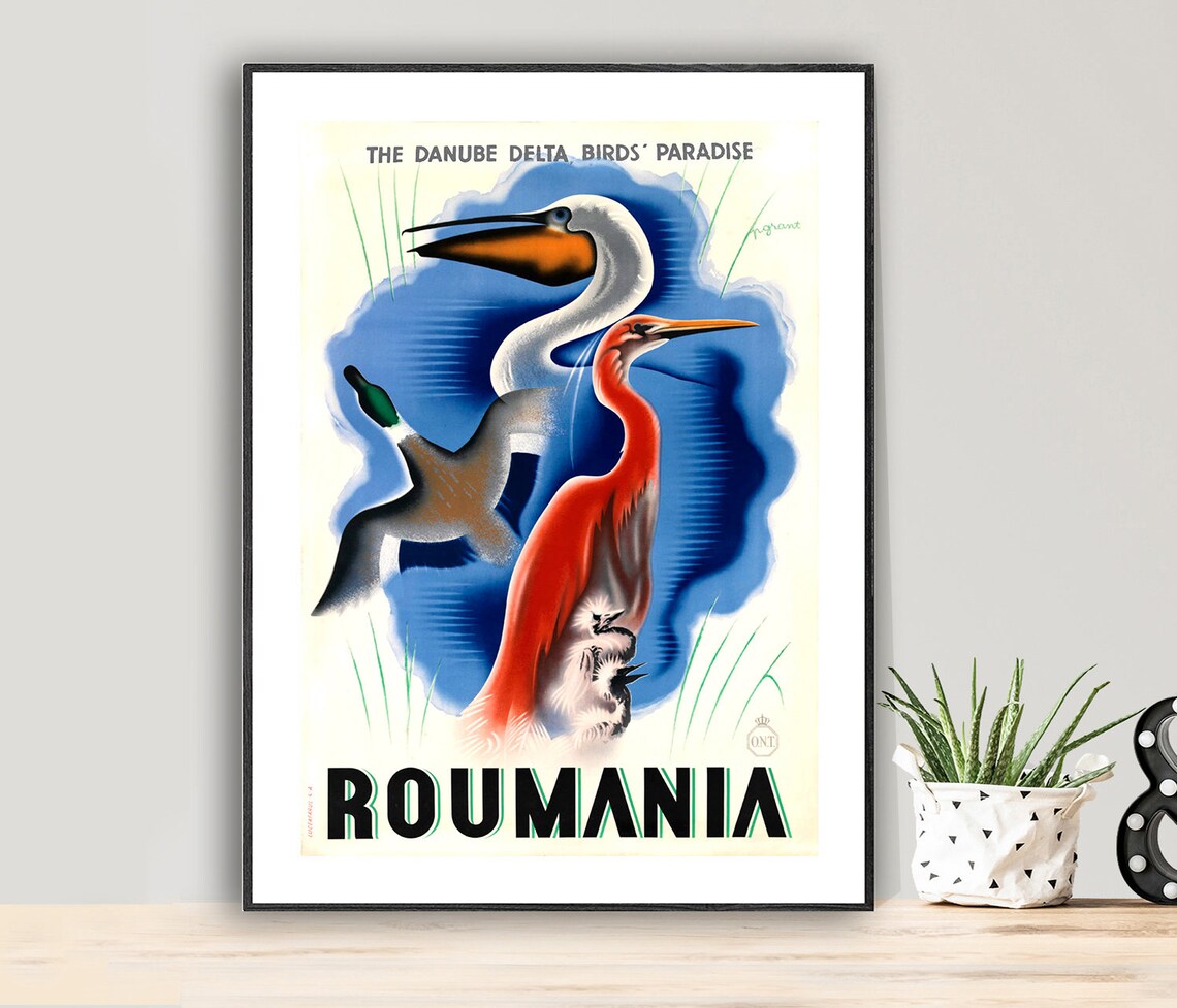 Roumania Danube Delta Birds Paradise Pelican Heron Travel Poster