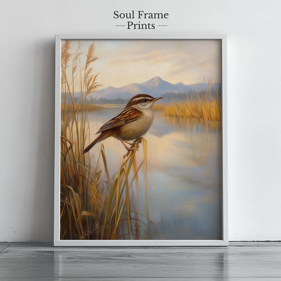 Marsh Wren Wetland Bird Wildlife Wall Art Golden Reeds Sunrise Scene