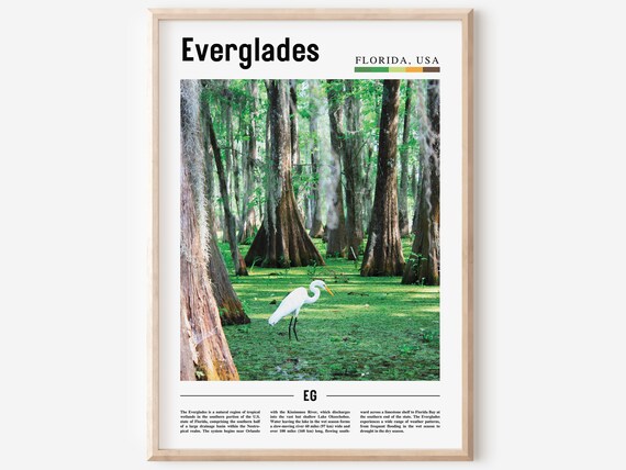 Everglades Florida Cypress Swamp Egret Wildlife Nature Travel Poster