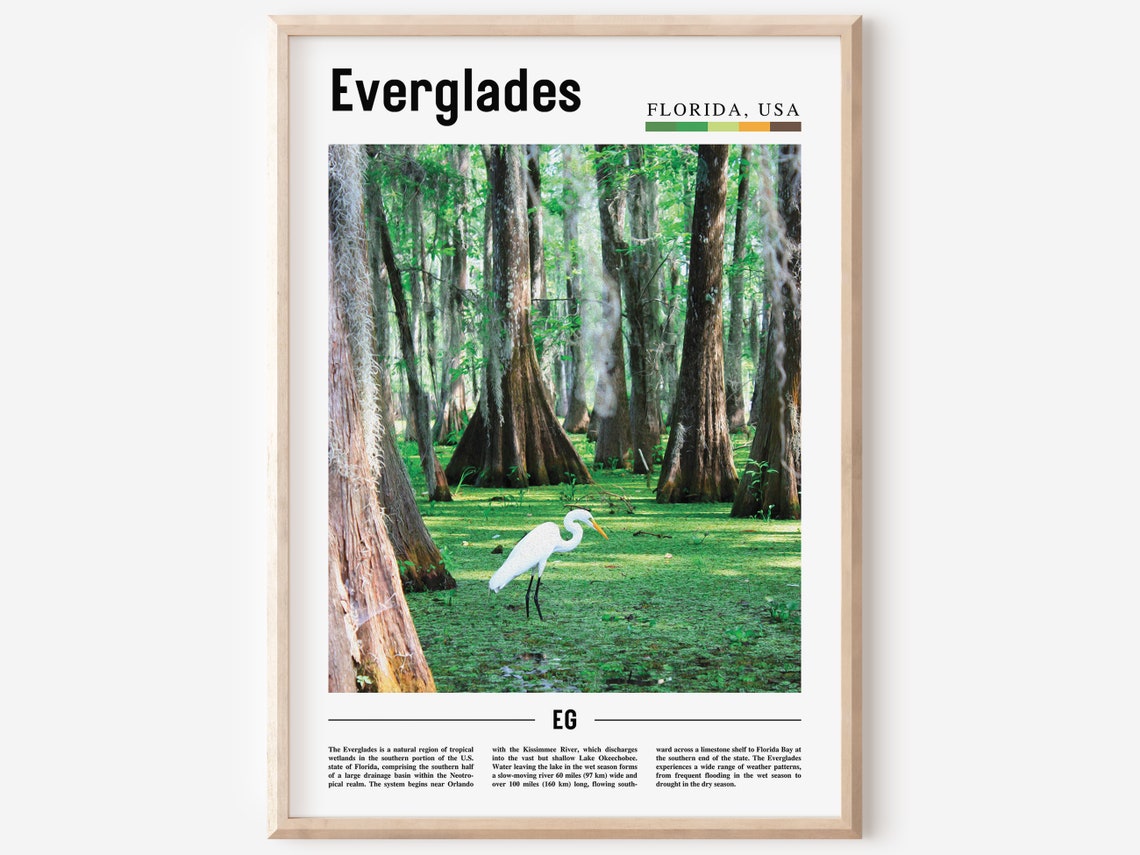 Everglades Print Everglades Poster Everglades Wall Art Oil Painting Poster Colorful City Print City Artwork Travel Artwork Travel Art