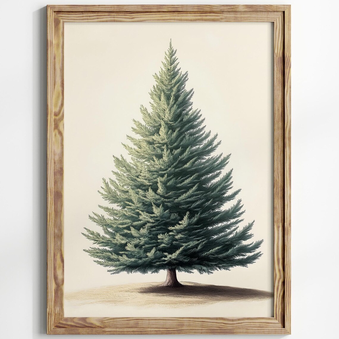 Evergreen Pine Tree Vintage Botanical Sketch Minimalist Art Poster
