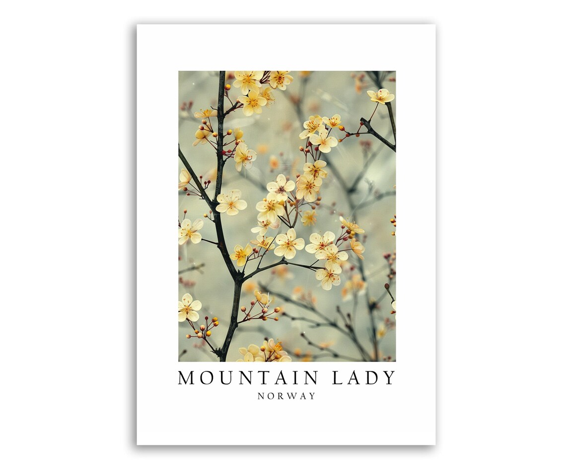Mountain Lady Norway National Flower Poster Print