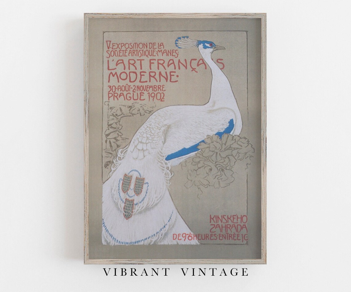 White Peacock Vintage Wall Art Print, Antique Decor