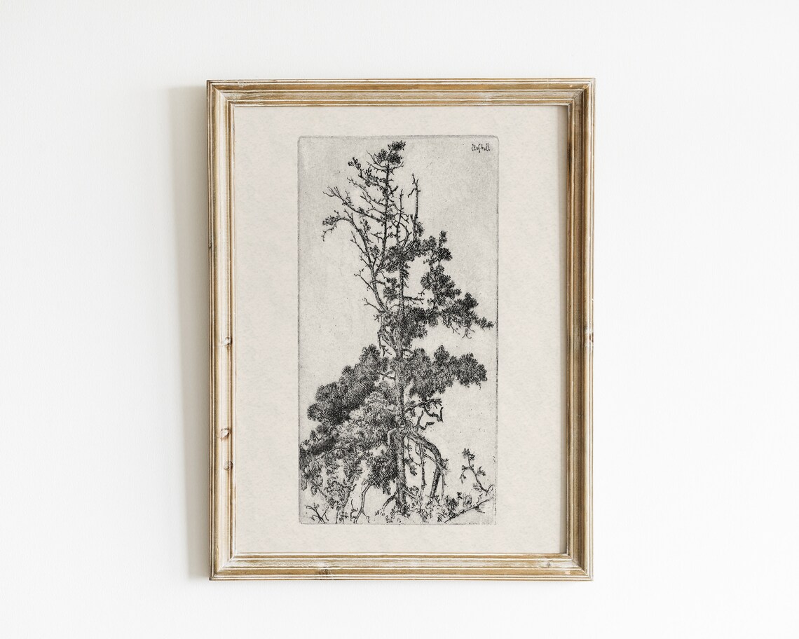 Vintage Antique Tree Sketch Botanical Art Print