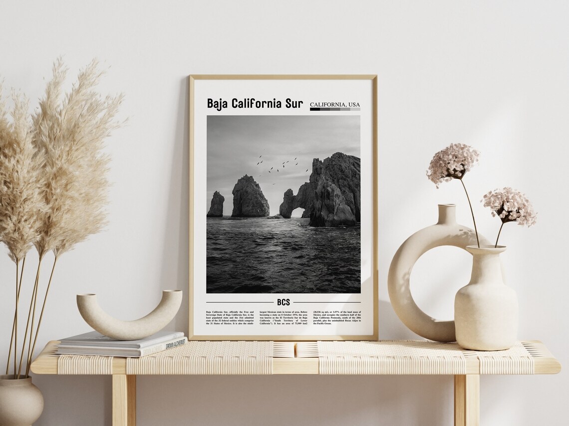 Baja California Sur Minimal Travel Poster - Image 6