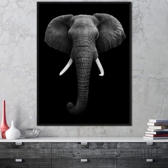 Black And White Elephant Face Portrait Monochrome Safari Statement Poster