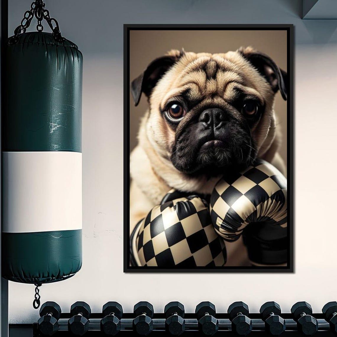 Fierce Pug Boxer With Checkered Boxing Gloves Gym Wall Poster
