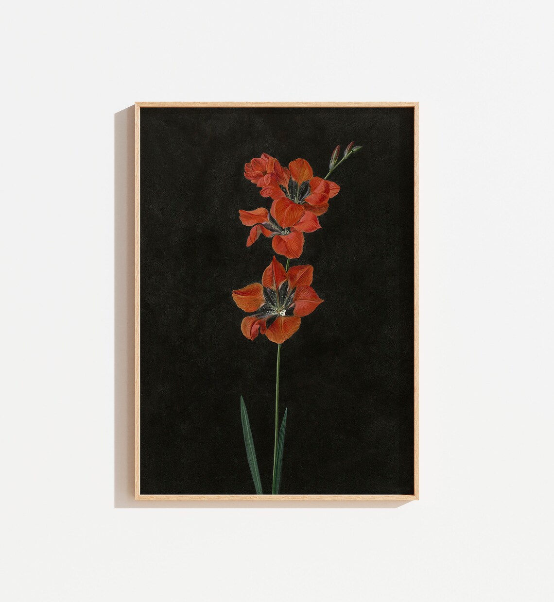 Vintage Moody Black Floral Still Life Art Print