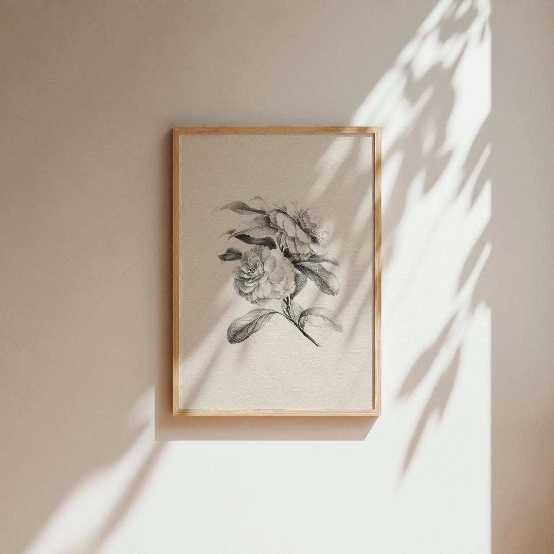 Vintage Cream Black Botanical Engraving Camellia Flower Wall Art - Image 4