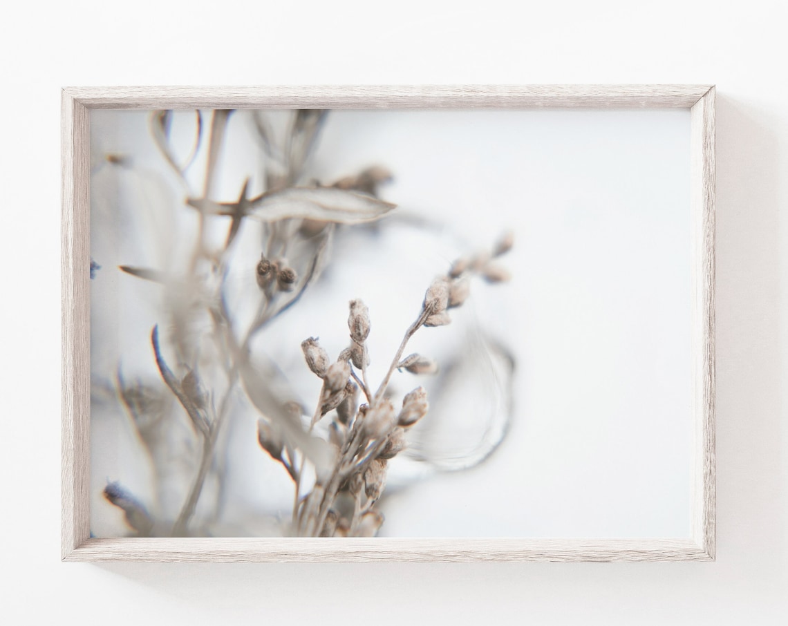 Beige Dried Flowers Soft Botanical Macro Minimalist Art Print