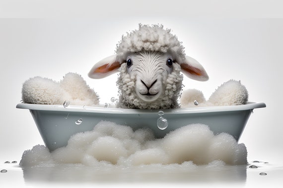 Cute Baby Lamb In The Bathtub Funny Animal Wall Art Bathroom Wall Print Sheep Art Photograph Home Decor Ai Prints