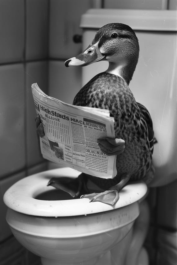 Duck Sitting On The Toilet Reading A Newspaper Funny Bathroom Wall Art Funny Vintage Style Animal Photo Animal Print Ai Art