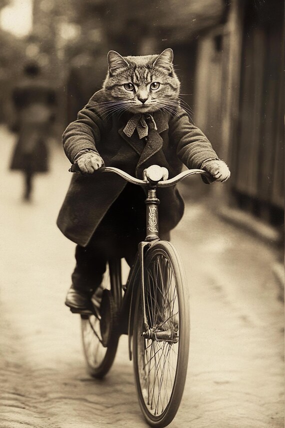 Cat In Jacket Riding Bicycle Bow Tie Sepia Vintage Funny Poster