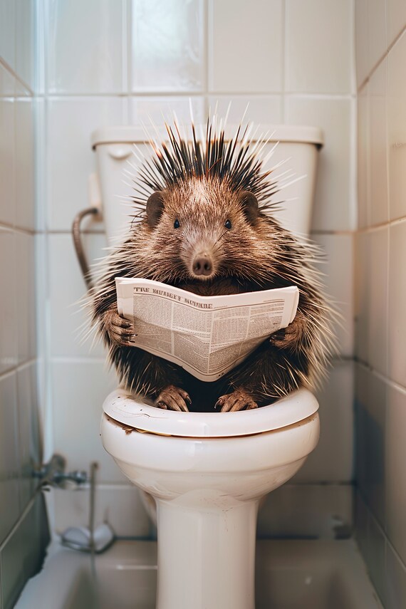 Funny Porcupine On Toilet Holding Newspaper Reading Front View Poster