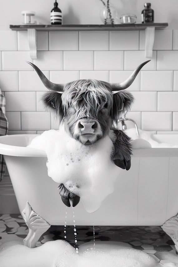 Highland Cow In The Bathtub, Funny Bathroom Art Print