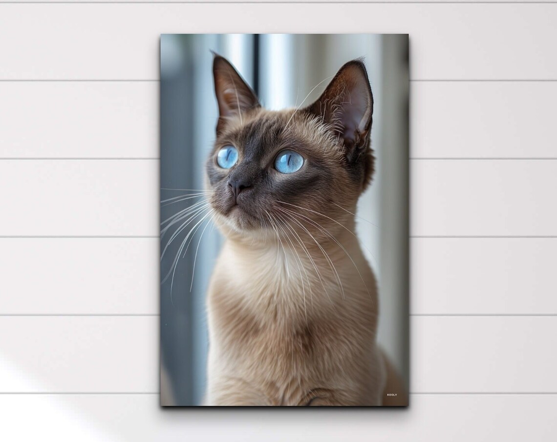 Siamese Cat Blue Eyes Portrait Elegant Feline Photography Poster
