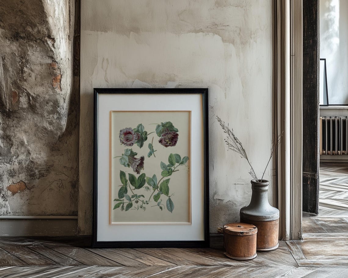 Burgundy Bell Flower Climbing Vine Botanical Study Illustration Poster - Image 3
