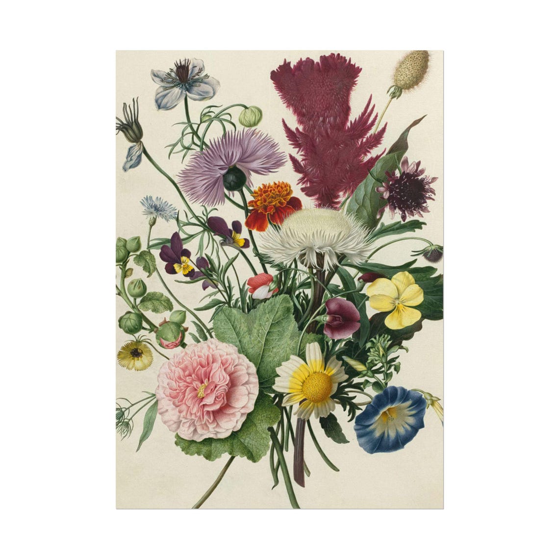 Vintage Botanical Bouquet Celosia Marigold Pansy Cream Floral Poster