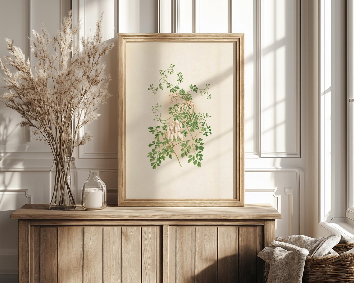Climbing Vine Botanical Illustration Pink Buds Fern Leaves Poster - Image 4