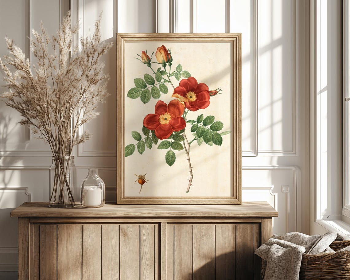 Red Wild Rose Botanical Study With Hips And Thorns Vintage Print - Image 4