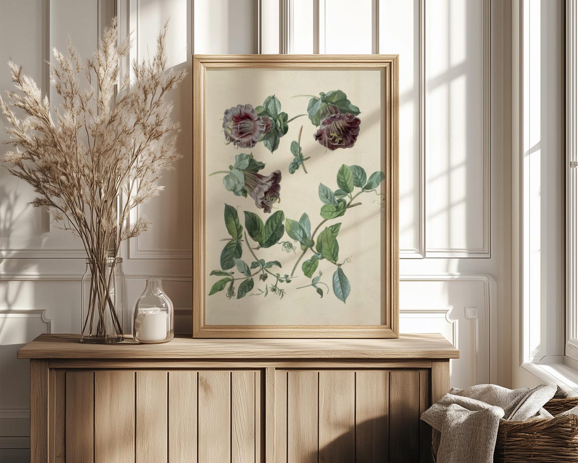 Burgundy Bell Flower Climbing Vine Botanical Study Illustration Poster - Image 4