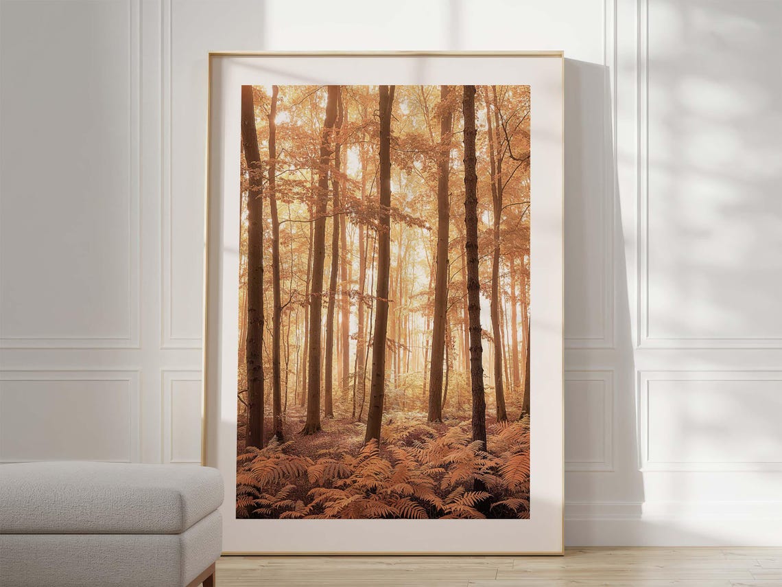 Warm Golden Autumn Forest Sunlit Trees Photography Art Print - Image 3