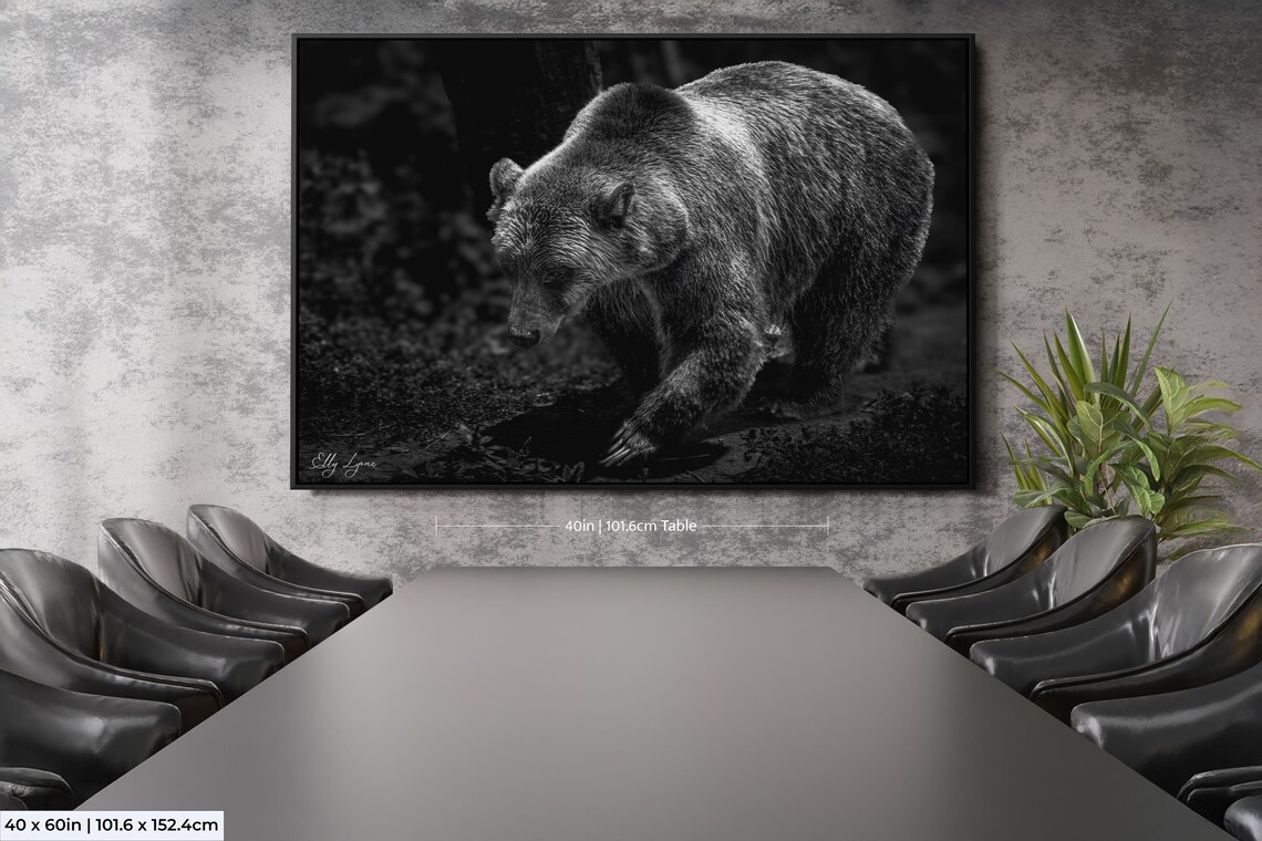 Bear Wall Art Print, Wildlife Photography - Image 2