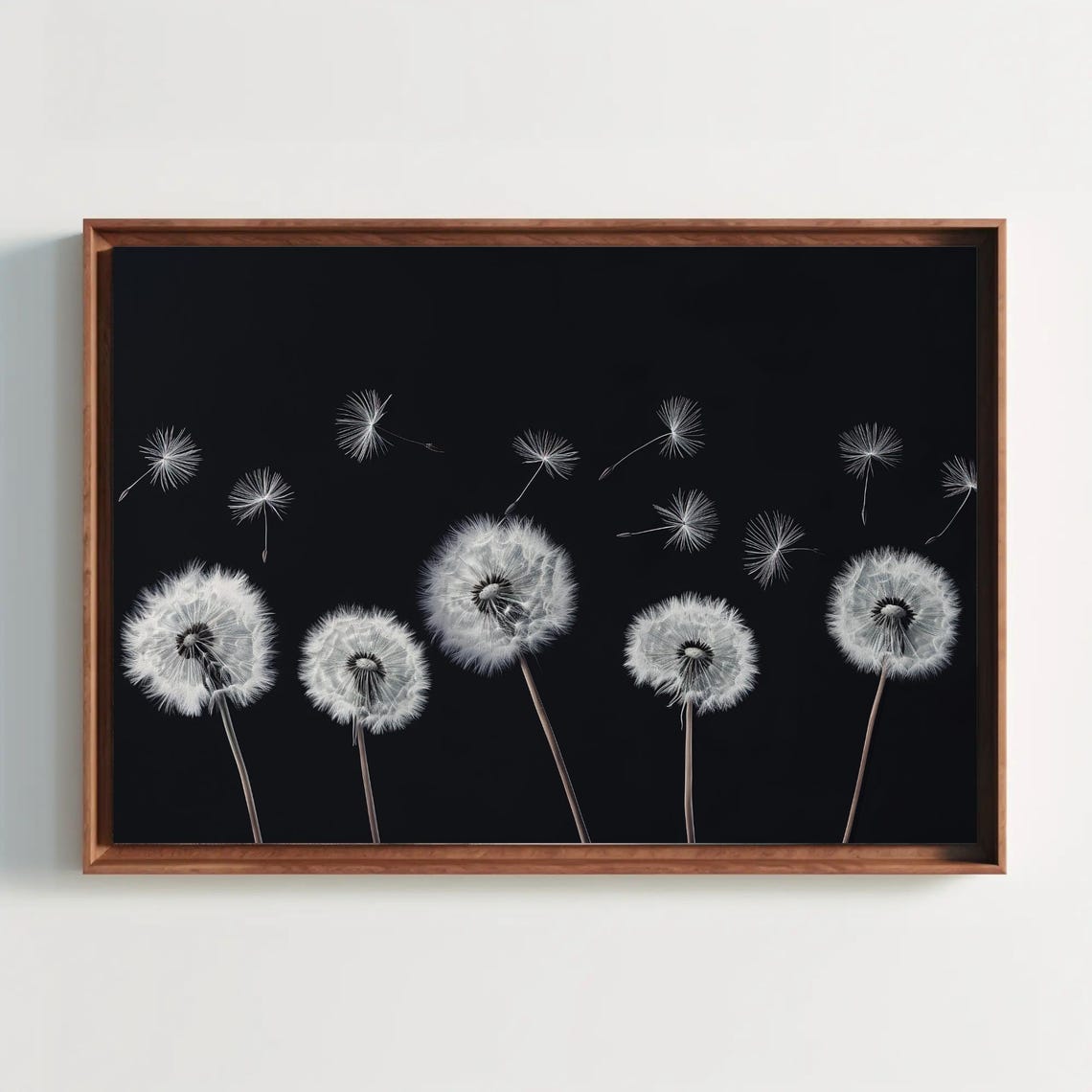 White Dandelions Black Background Panoramic Botanical Poster - Image 3