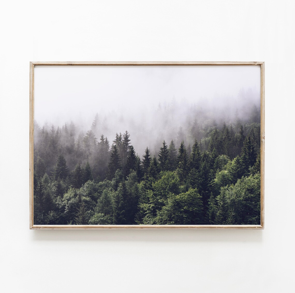 Dark Forest Pine Trees, Nature Landscape Art Print