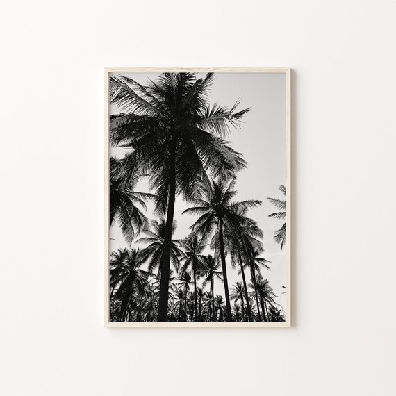 Black And White Tropical Palm Trees Print Bw Beach Photography Poster Wall Art
