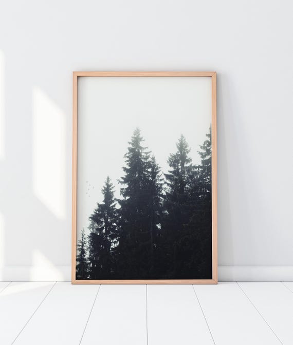 Forest Photography Print Pinecones Landscape Poster Nature Wall Decor Trees Nordic Art