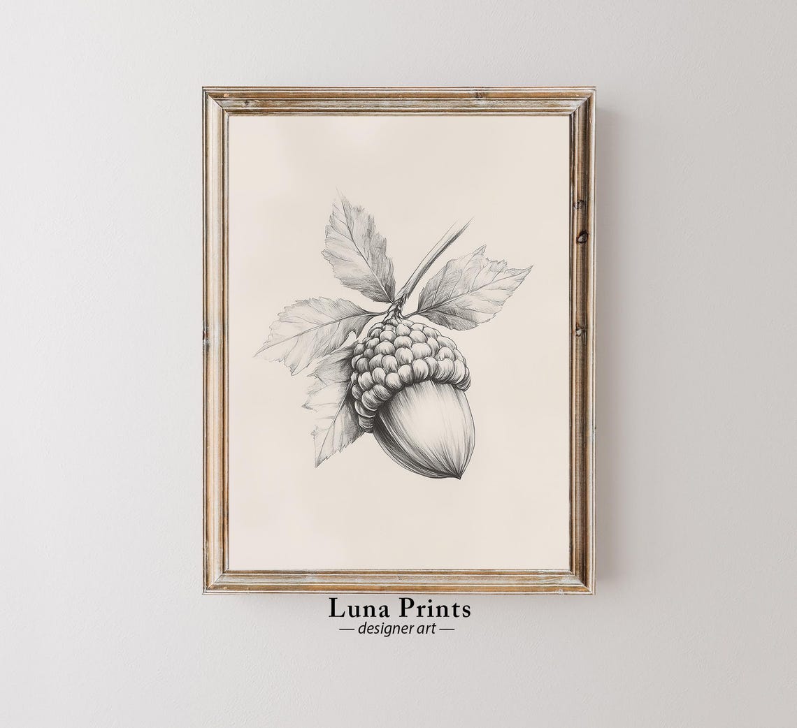Vintage Fall Acorn Drawing Art Antique Botanical Illustration Neutral Autumn Wall Decor