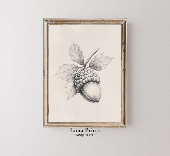 Vintage Fall Acorn Drawing Art Antique Botanical Illustration Neutral Autumn Wall Decor