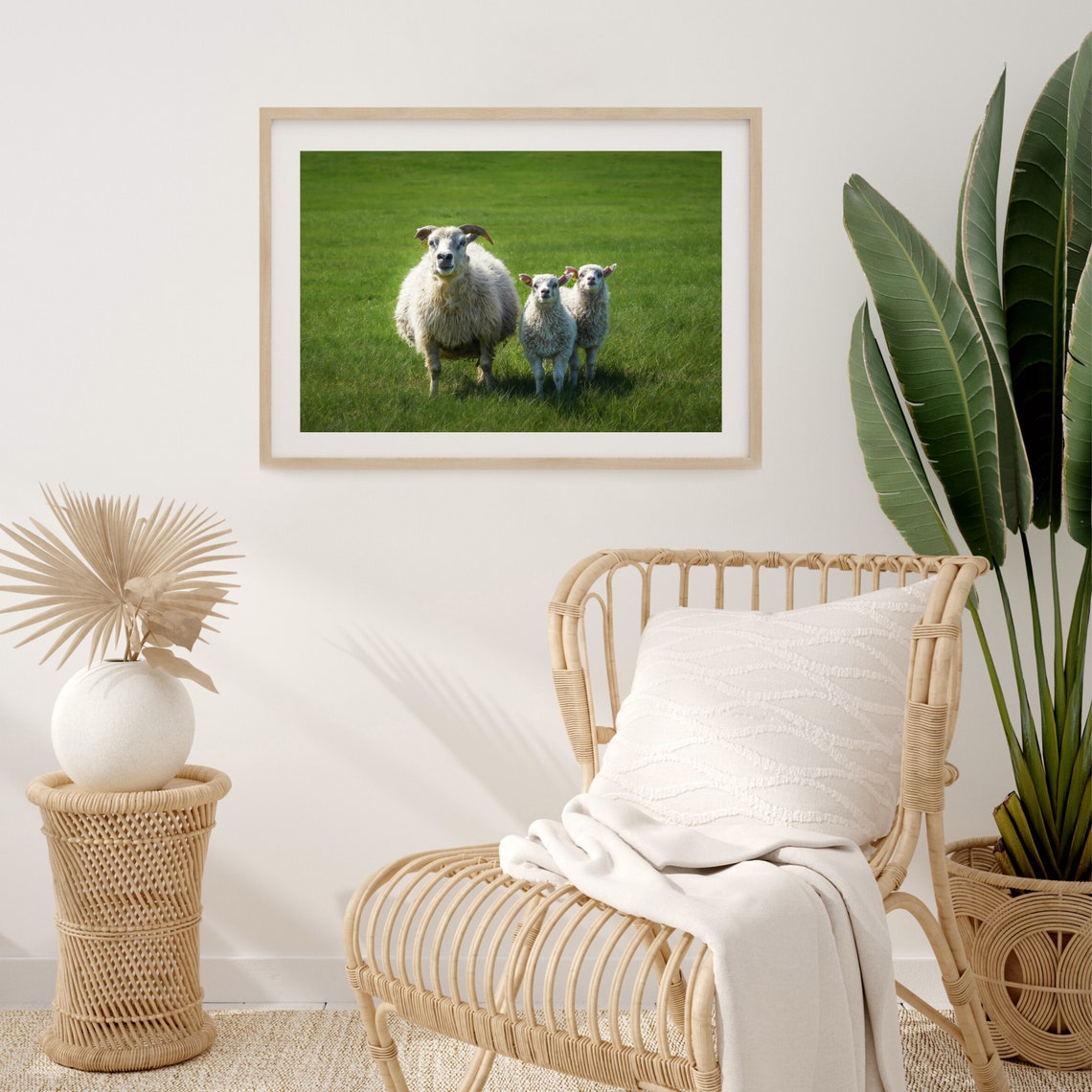 Iceland Farm Sheep Wall Art Print Farmhouse Decor Print Iceland Wildlife Photography Print Farm Animal Photography Print Sheep Poster - Image 3