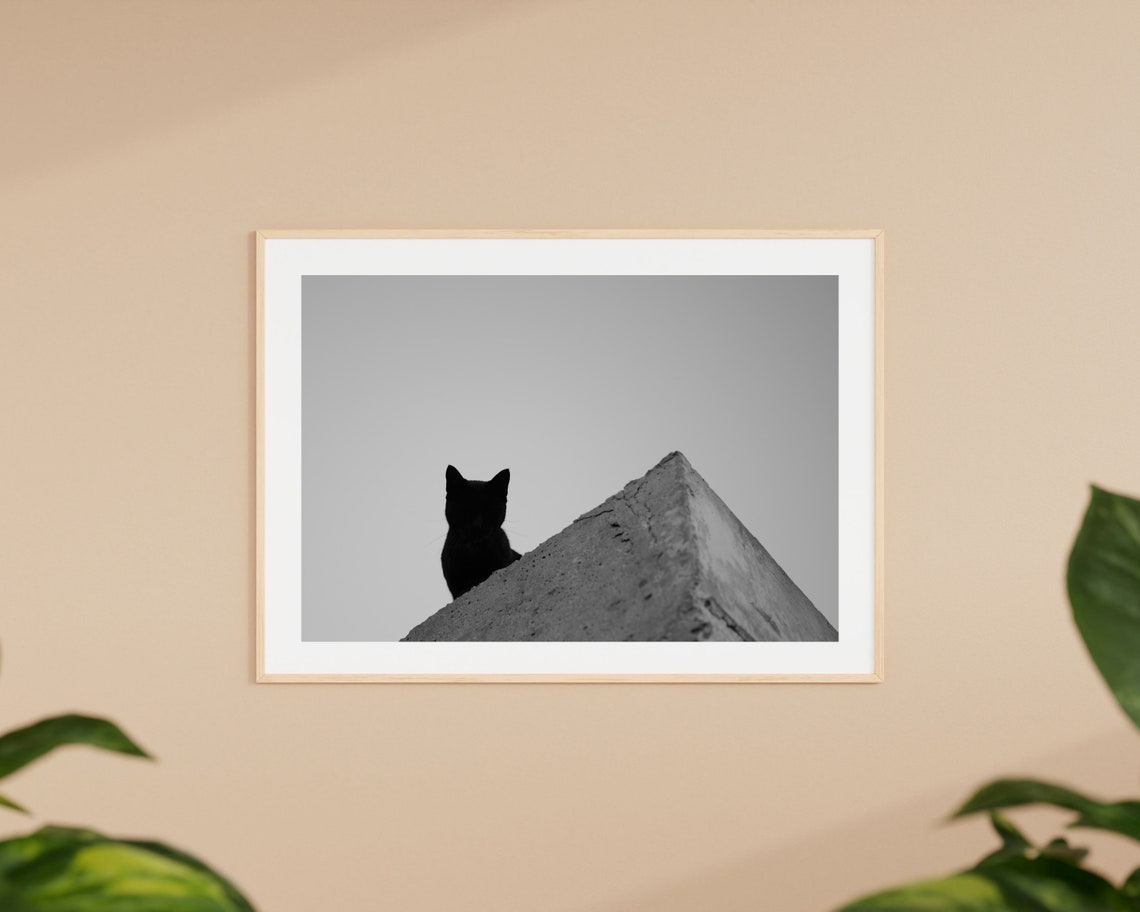 Monochrome Cat Photography Animal Photography Print Spain Photography Street Photography Wall Art Travel Photo Print Cat Photo Poster - Image 4