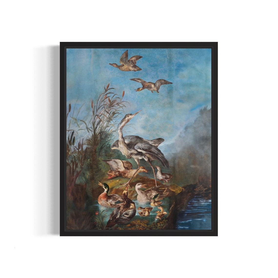 Grey Heron with Ducks in Pond Gathering Vintage Wildlife Art Print