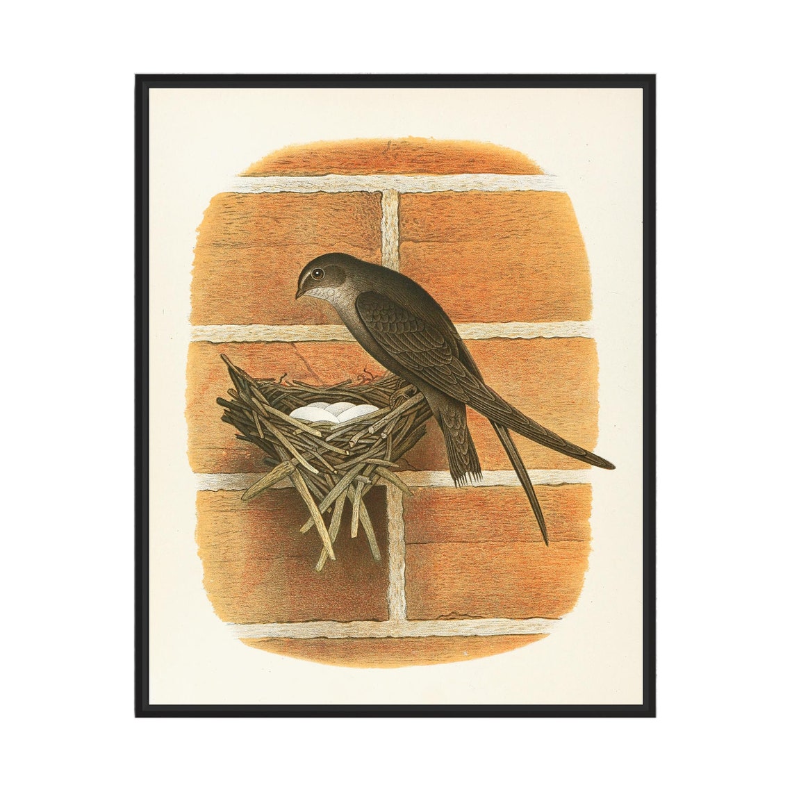 Chimney Swift Tending Its Nest at the Chimney Vintage Bird Poster