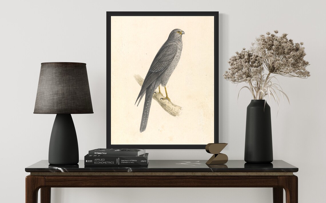 Sooty Grey Falcon Perched on Branch Vintage Wildlife Art Print - Image 3