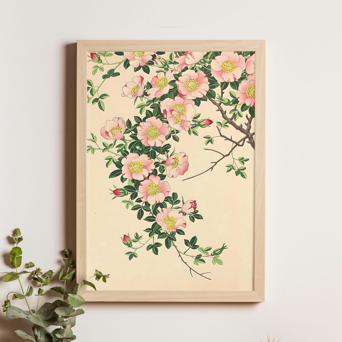 Wild Vine Rose Blossoms Nishimura Hodo 1939 Botanical Art Poster