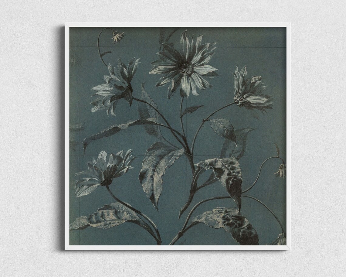 Square Vintage Floral Sketch Art Moody Blue Floral Art Print