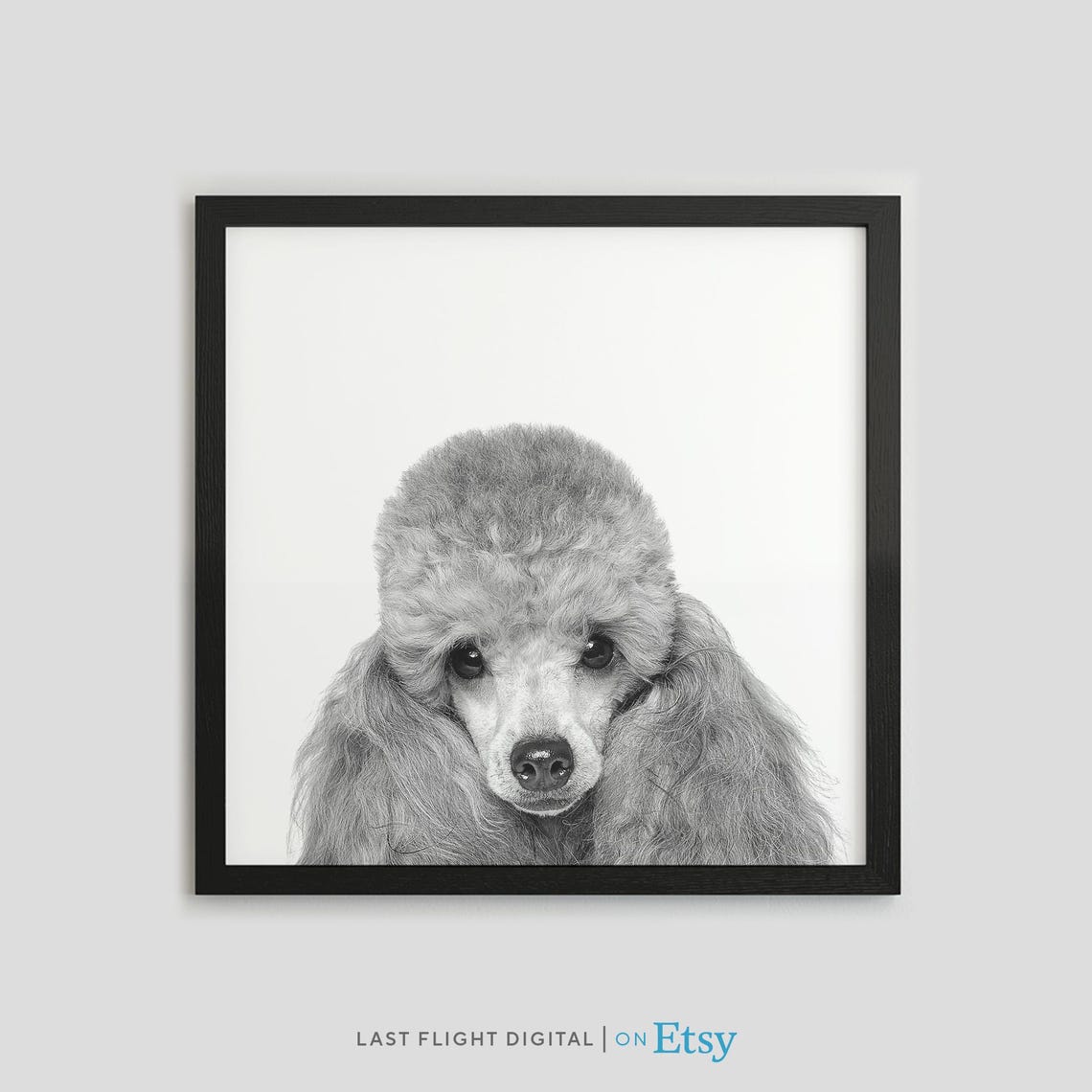 Dog Print Toy Poodle Dog Poster Puppy Print Puppy Poster Poodle Print Black White Poodle Art Nursery Portrait Toy Puddle Puppy