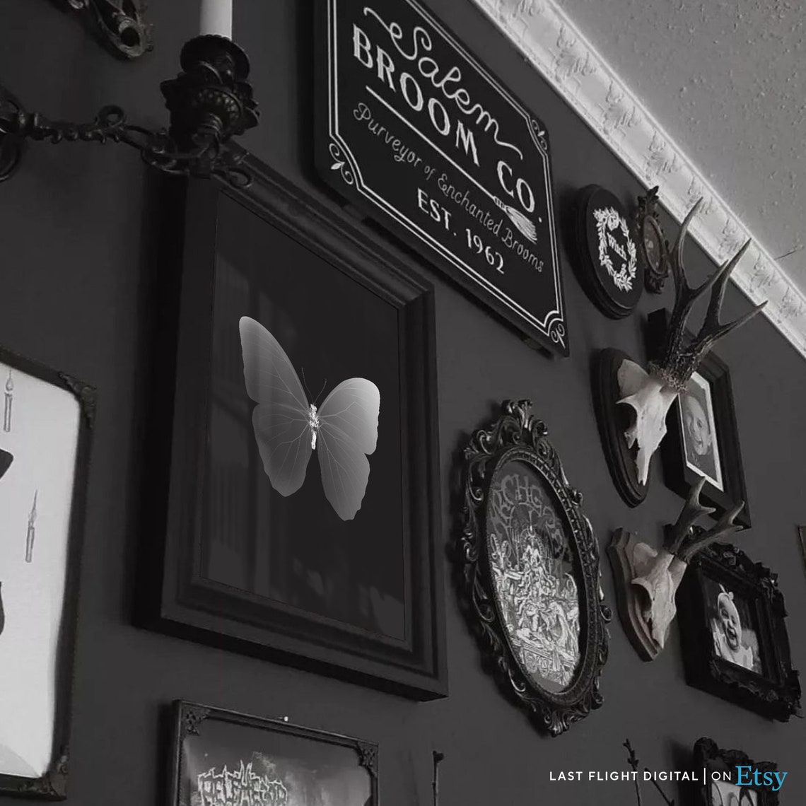 Butterfly X Ray Art White Wings Black Background Nature Poster - Image 2