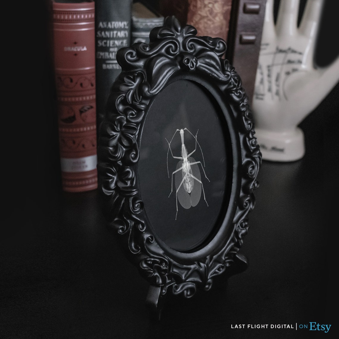 Leaf Insect X Ray Art Black Background Macro Entomology Poster - Image 3