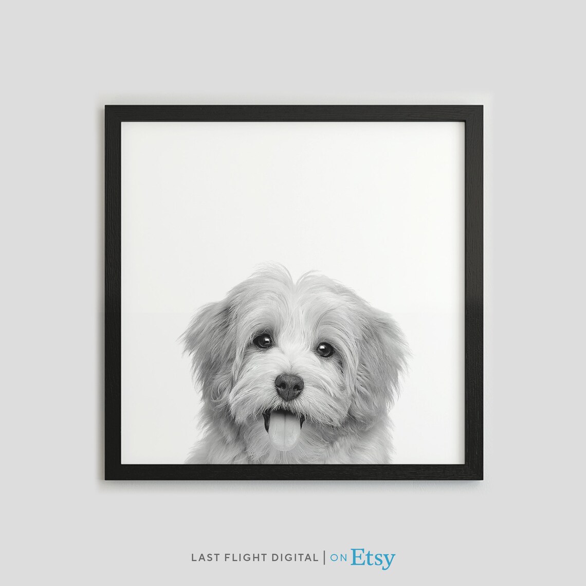 Havanese Dog Poster, Nursery and Kids Room Art Print