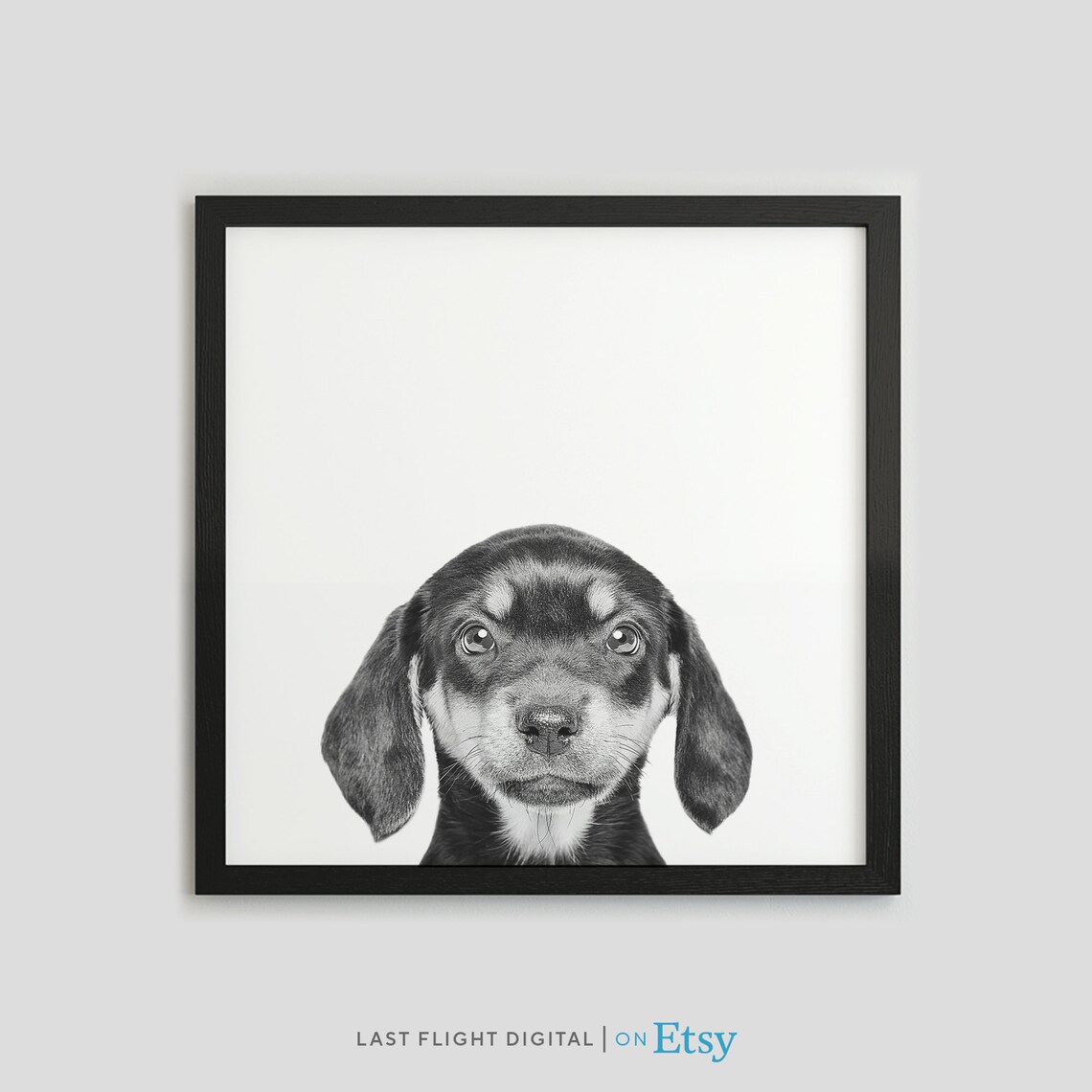 Cute Dachshund Puppy Black White Photo Pet Portrait Wall Poster