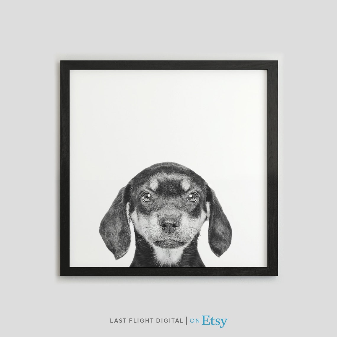 Dog Print Dachshund Dog Poster Puppy Print Puppy Poster Kids Room Face Black White Photo Wiener Dog Art Baby Room Wiener Dog Puppy