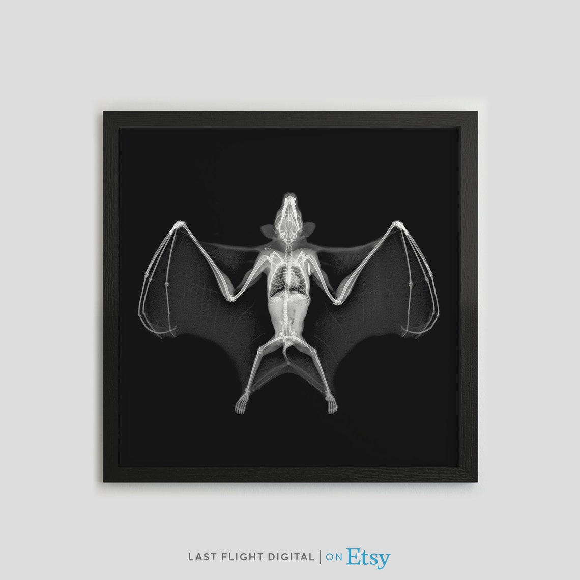 Bat X Ray Art Wings Spread Skeleton Black Background Nature Poster