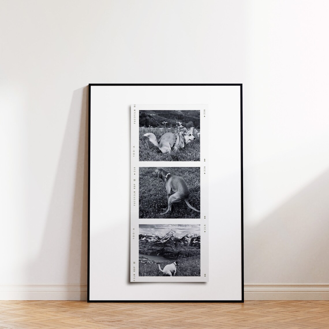 Funny Dog Pooping Film Strip Photo Collage Bathroom Poster Decor