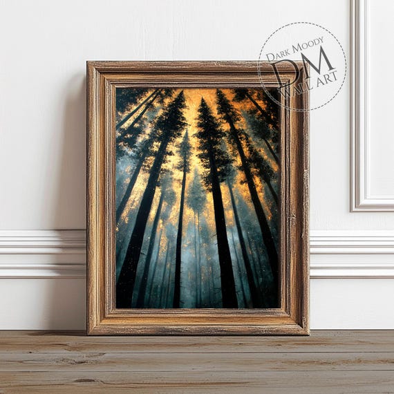 Moody Pine Forest Wall Art Golden Light Landscape